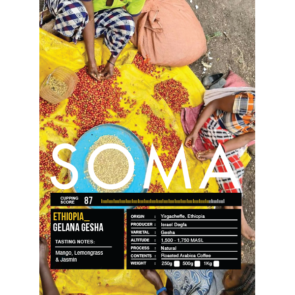 ETHIOPIA - GELANA GESHA